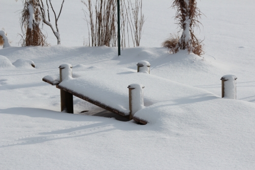 Verschneiter Garten